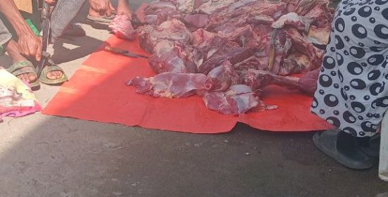 photo 2025 08 24 13 18 54